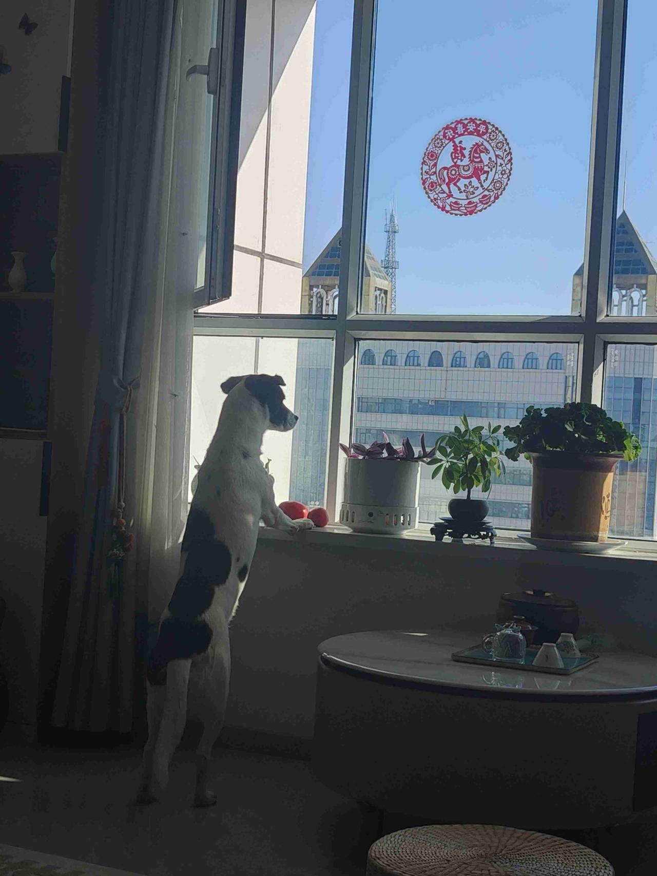 乌鲁木齐市区是否地震了？
       刚回到家，坐在沙发上躺一会，感觉到身体在