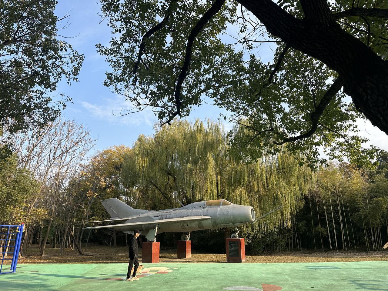 冬日生活打卡季清晨去公园晨练随拍