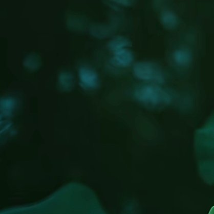 每日一善每日一善 在这个世界上，幸福从来就没有标准答案，有的人吃路边摊但也要拍照