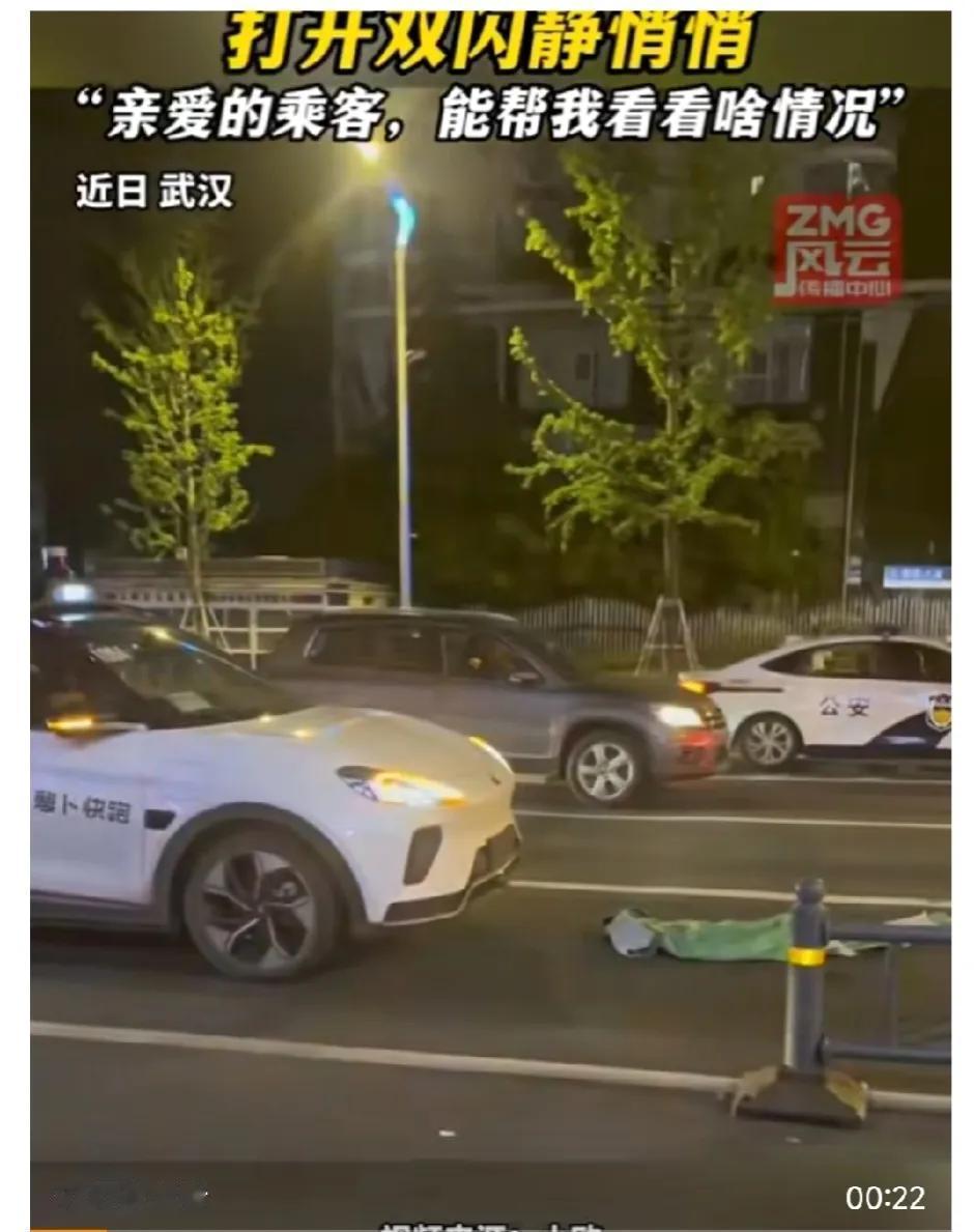 这萝卜快跑的胆子也太小了吧？

在路上正跑着呢，突然发现前面路面上有个编织袋，估