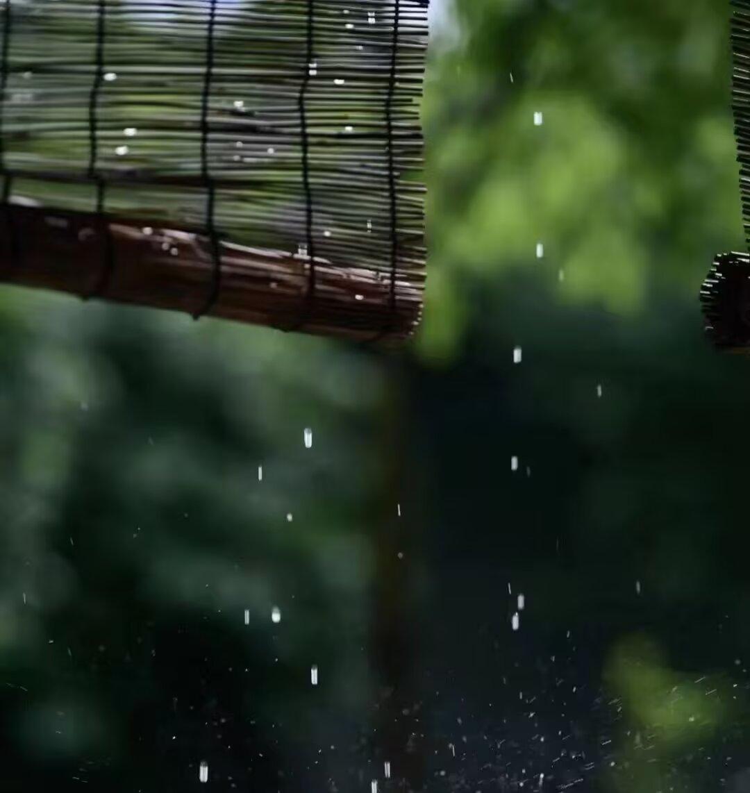 大风大雨送清凉，电母雷公助八荒。
飘缈案边檀烟袅，悠然窗外茉莉芳。
清茶几盅烹岁