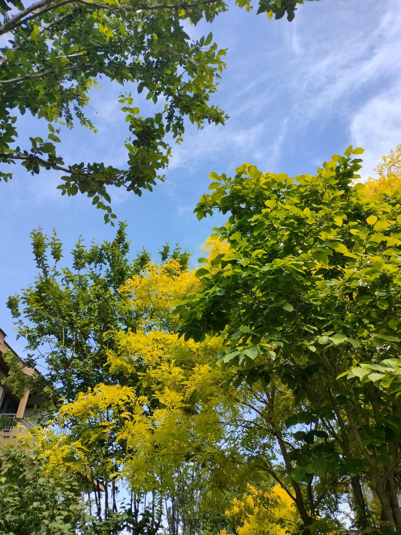 分享一下今日感悟人的福报是有定数的，惜福才是最大的智慧。