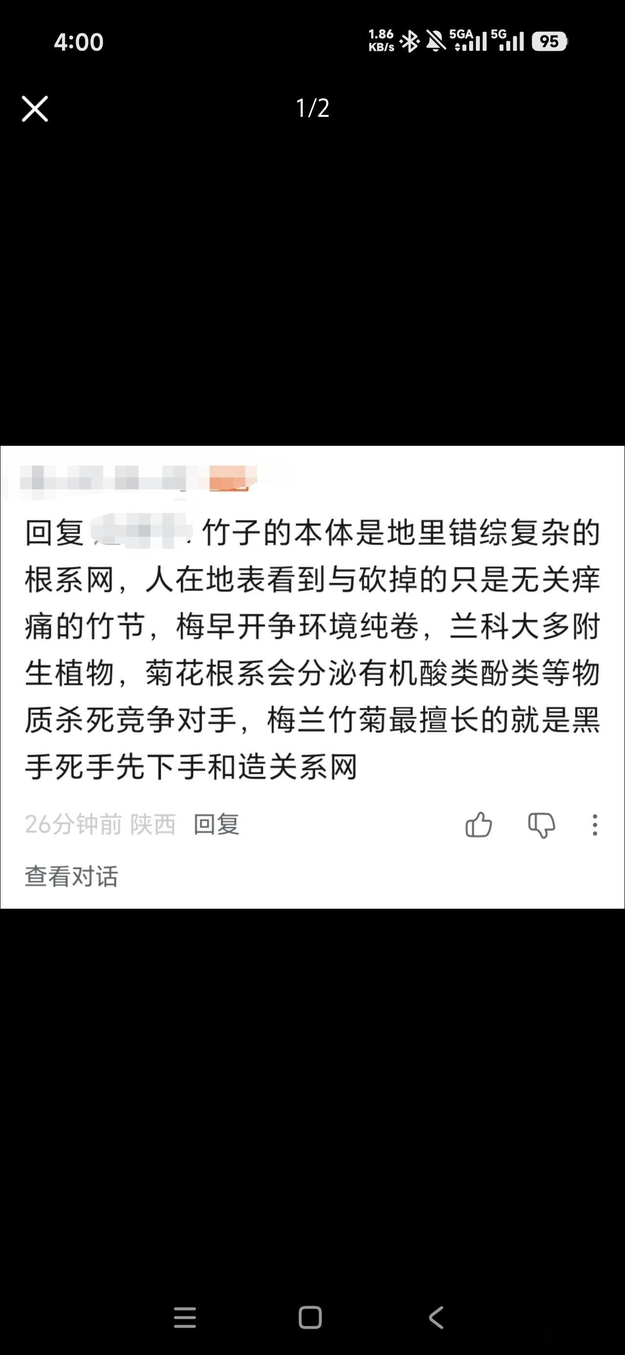 梅兰竹菊这个反差感真的很绝 