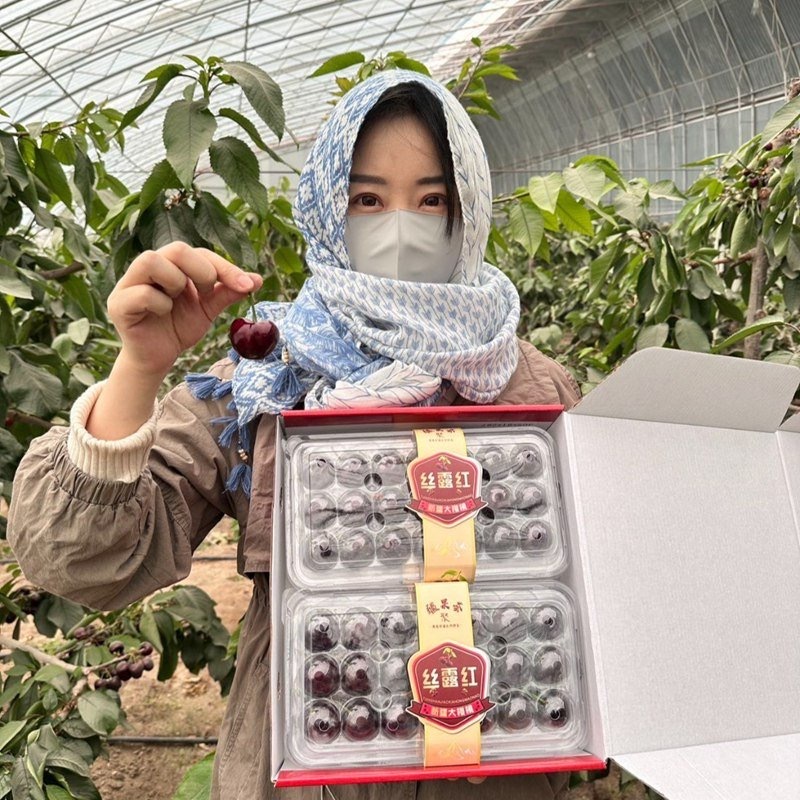 #大妈的精选#  吃过新疆长出来的【 美早大樱桃 】，你才知道什么叫真正的“樱桃