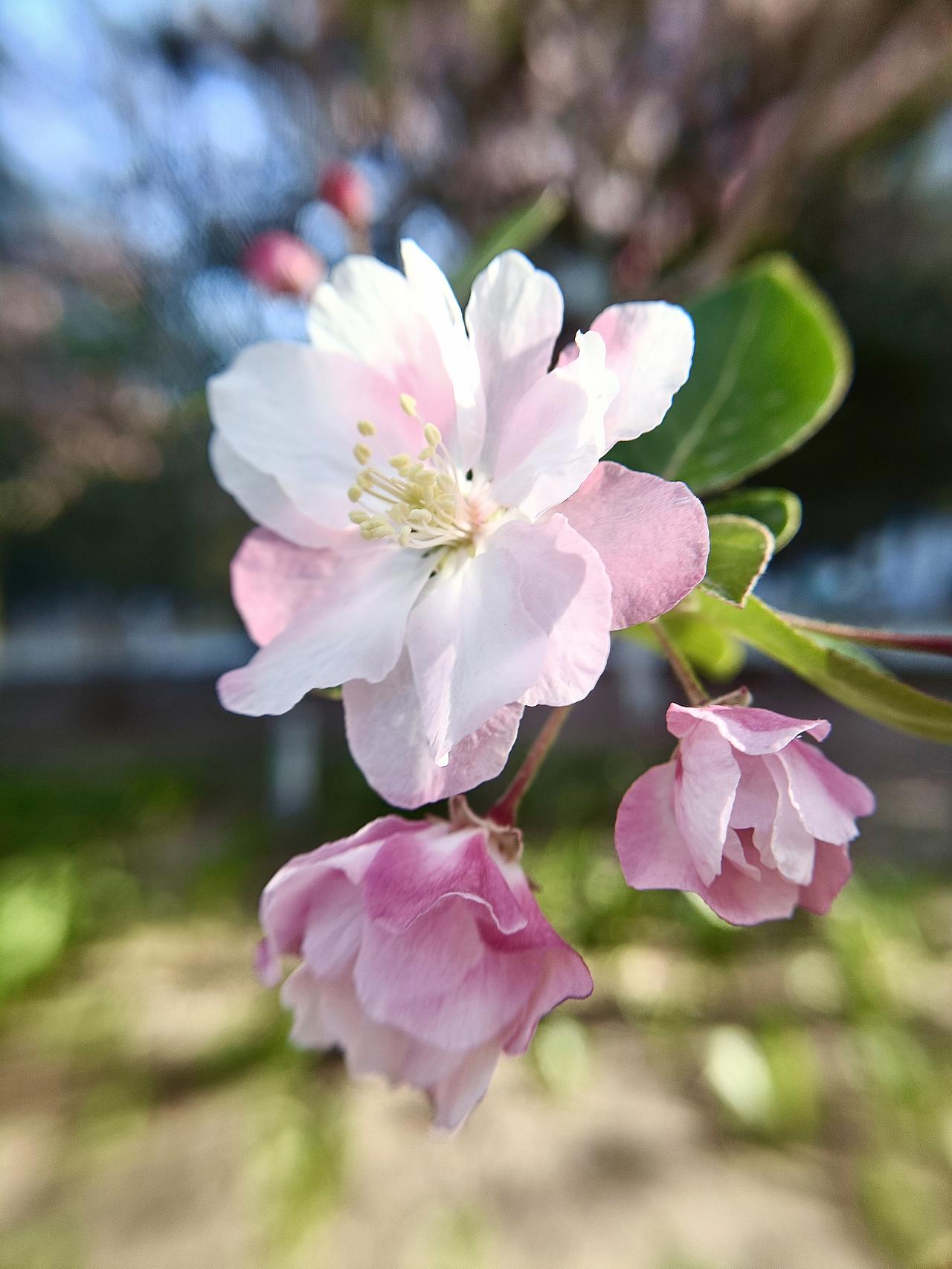分享今天的随手拍！