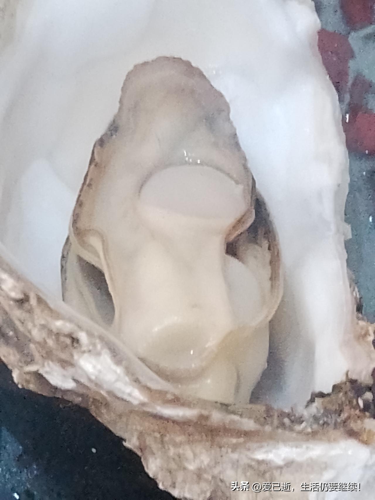 你是否认同农民老年应得到保障？应该得到啊！同样是人只是在社会中扮演的角色不一样！