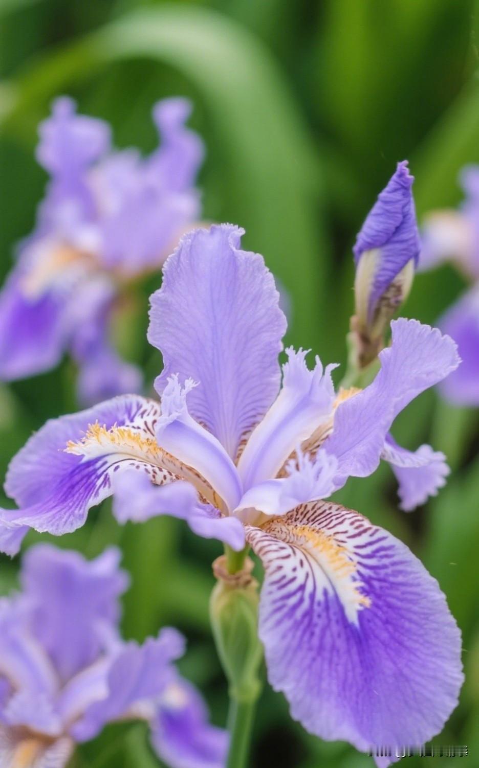 局势突变！伊朗考虑暂停霍尔木兹航运，为谈判留后路？
 
      据彭博社14