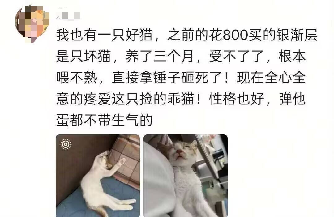 初衷是好的，执行是好的，结果也是好的，给他好完了…… ​​​