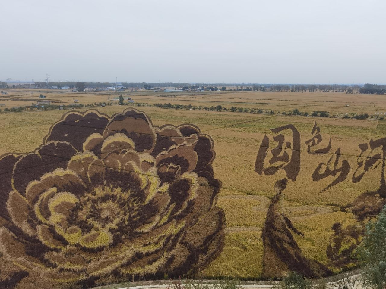 中看不中吃