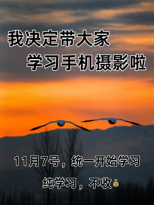 我决定带大家学习手机摄影啦！！