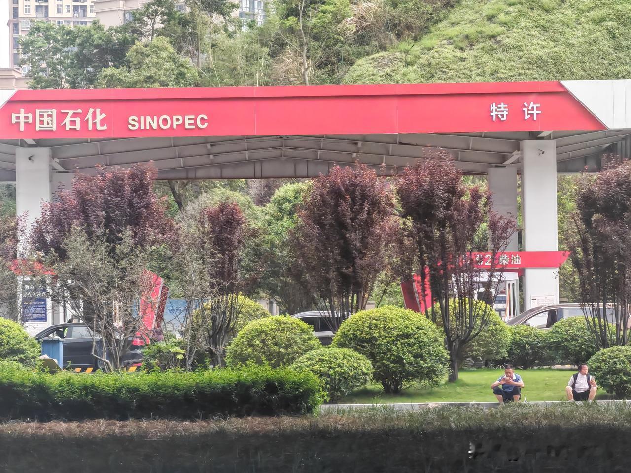 加油站整个特许啥意思！位于宜宾三江新区飞云路的中石化加油站整个特许！难道其他就是