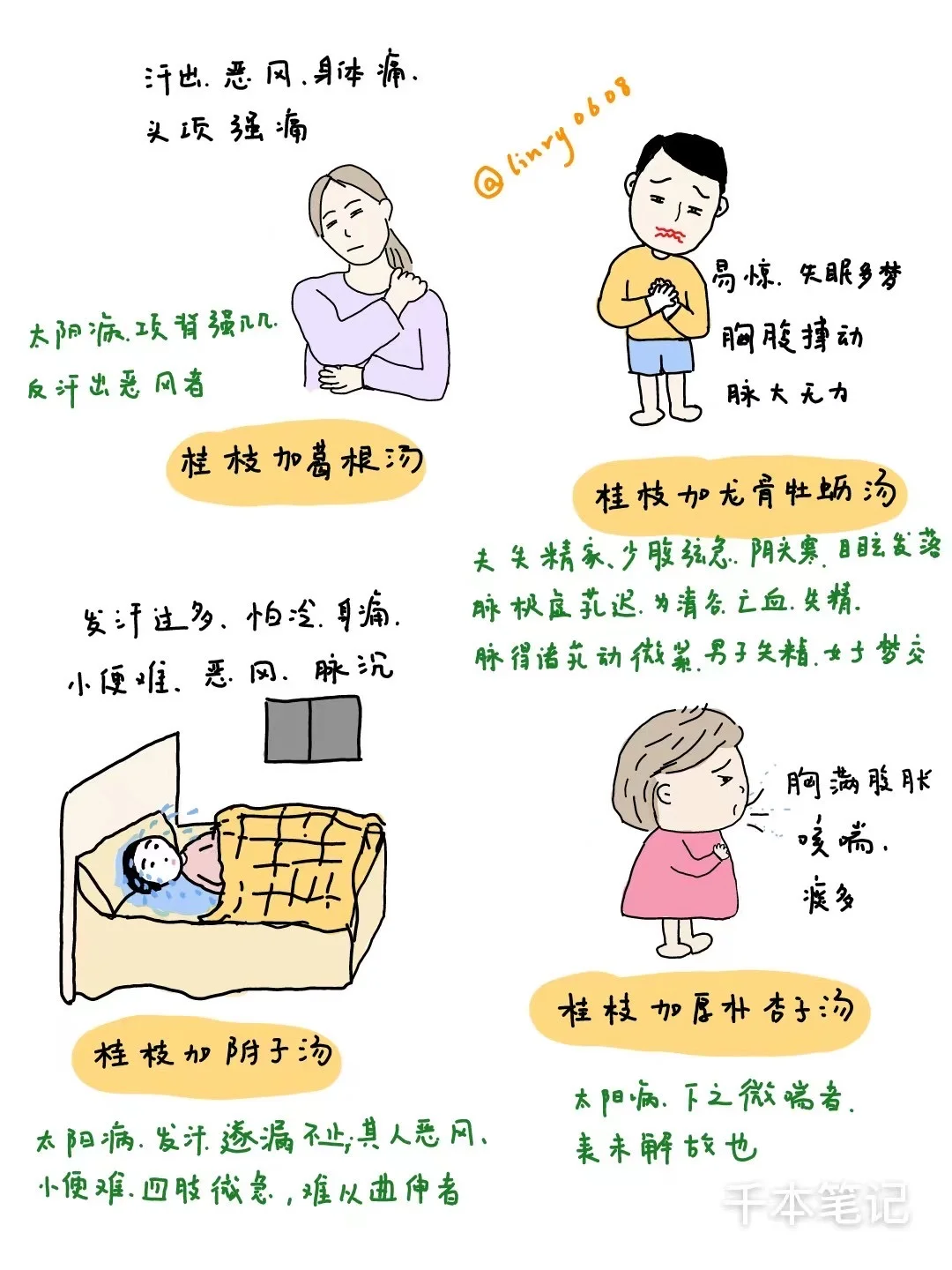 每日经方🎨第3期【桂枝汤类方】