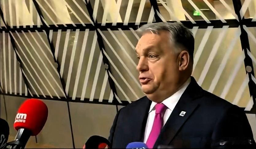 匈牙利总理欧尔班批评欧盟挪用被冻结俄资产援乌:“整个想法都很愚蠢，要拿走别人的钱