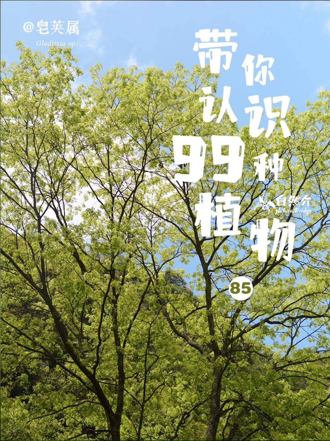 带你认识99种植物