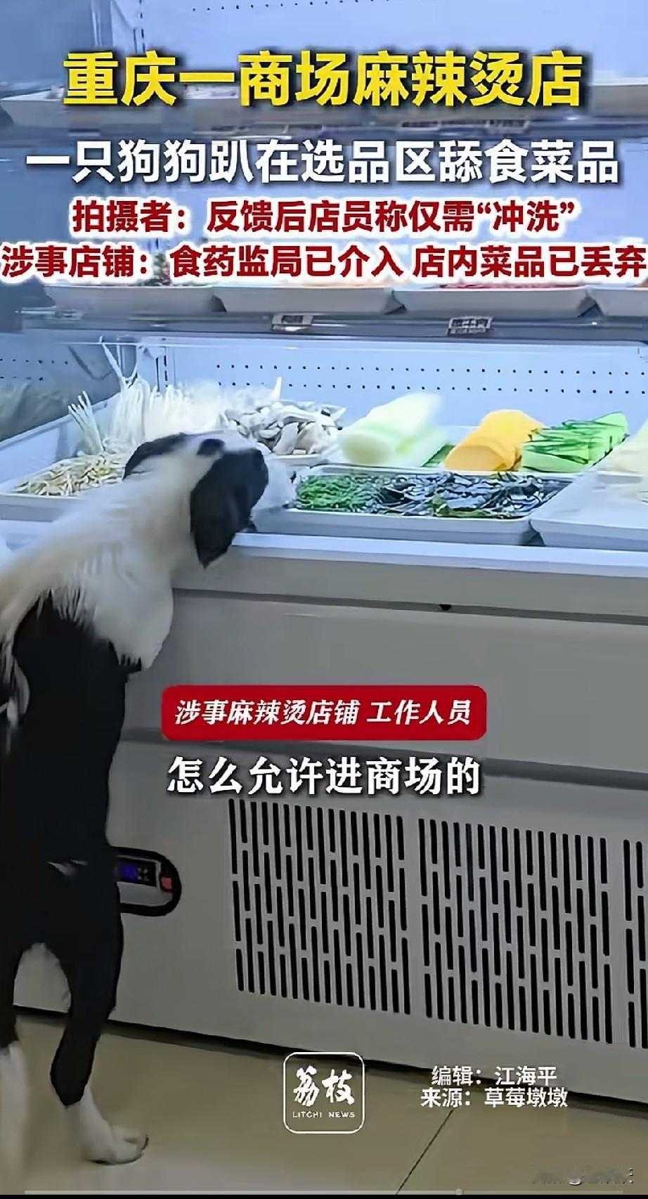 你能想象吗？现在连狗子都能上桌吃饭了！
也不知从哪里刮来的风，商场一股脑打出“宠