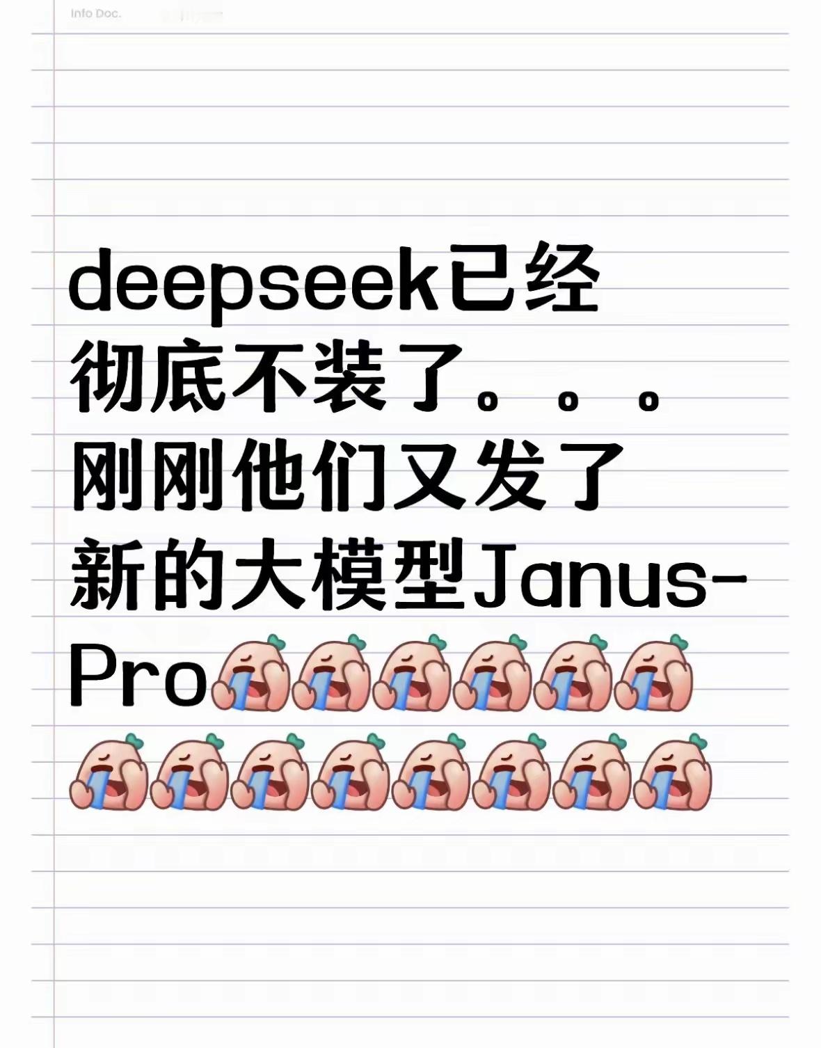 deepseek已经彻底不装了，刚刚他们又发了新的大模型Janus-pro这是要