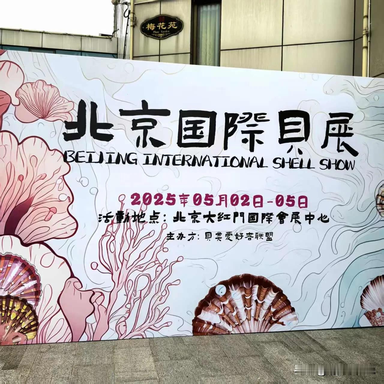 五一北京贝展，太火爆啦！
五一小长假，北京大红门国际会展中心，有一场贝壳展，从5