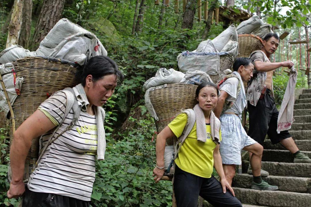 老君山“放着无人机吃灰”？37个挑山工的饭碗，藏着最暖的答案
 
谁能想到，老君