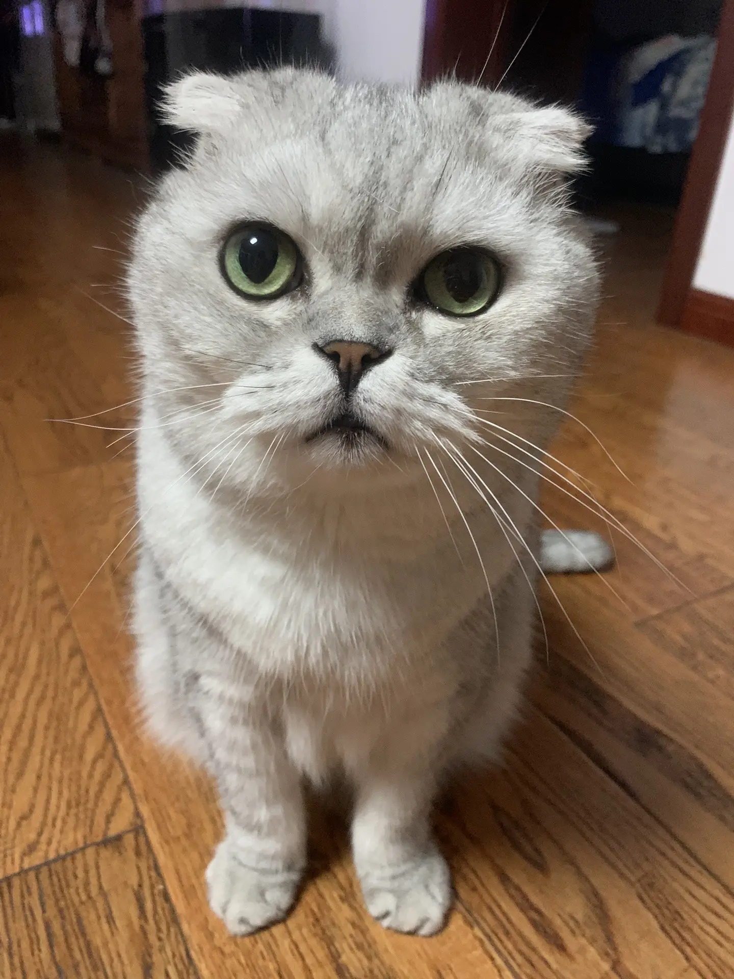 搬砖的
