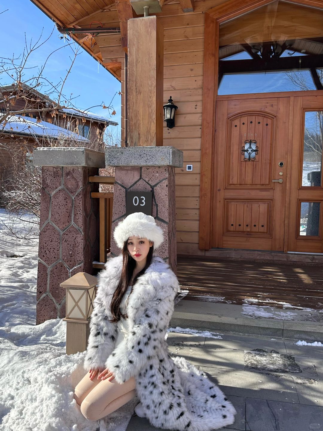 小雪豹🐆
