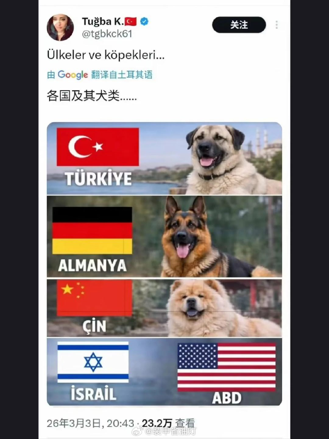 各国及其本土特产犬类~伊朗