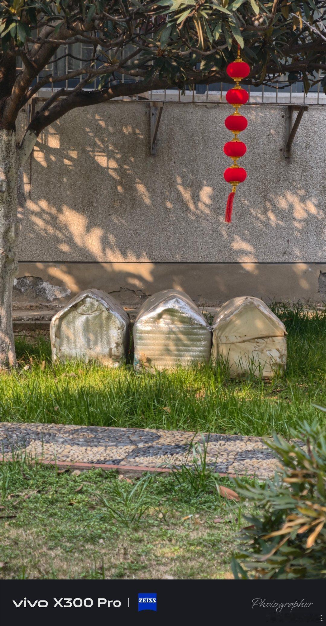 这猫窝看起来就暖和诶启子的日常日常分享 淮南·安徽工贸职业技术学院