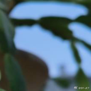 每日一善每日一善对于生活，要存有期冀，存有感恩之心，但不作非分之想。一个生日怎么