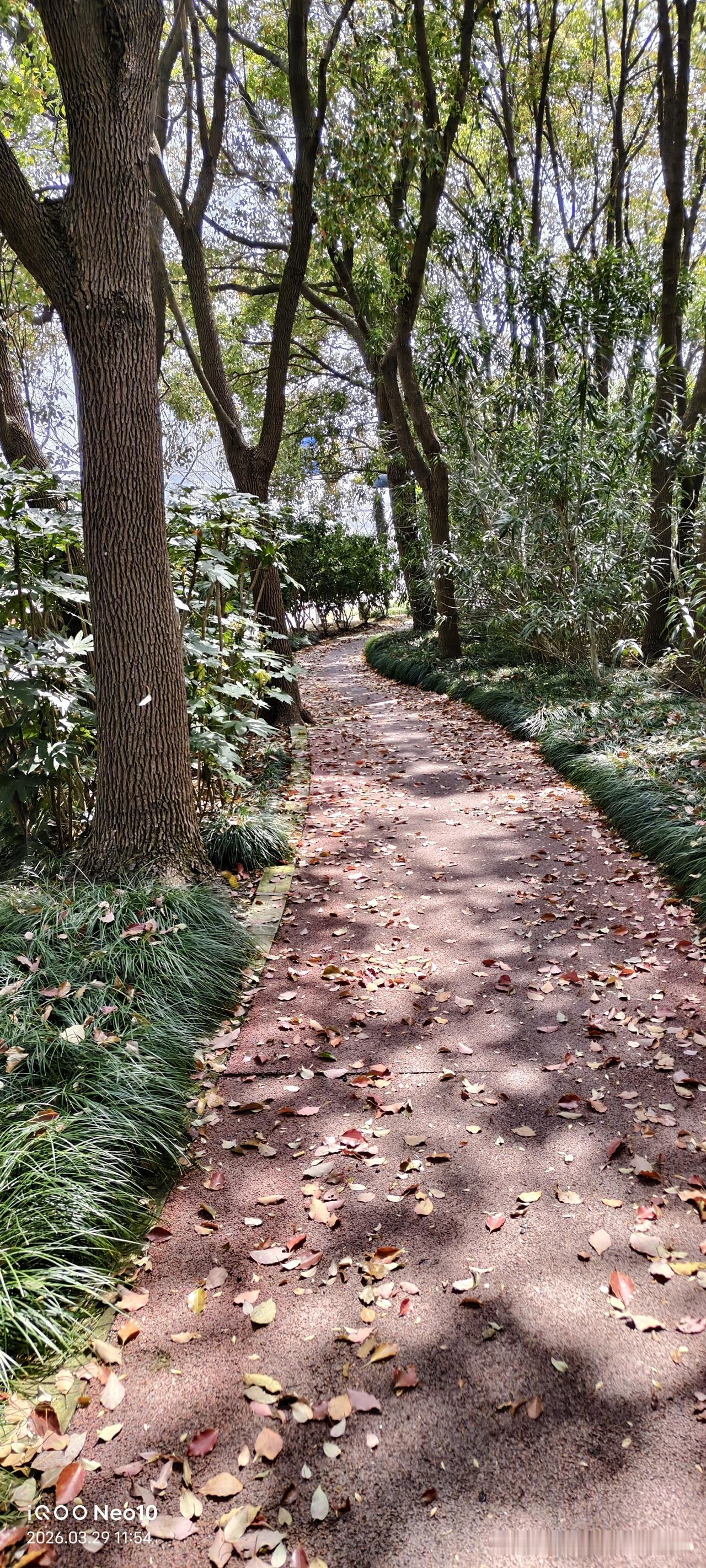 孩子大了都有自己的主意了。
昨天晚上我给小女儿打电话，想让她再给我交一份5000