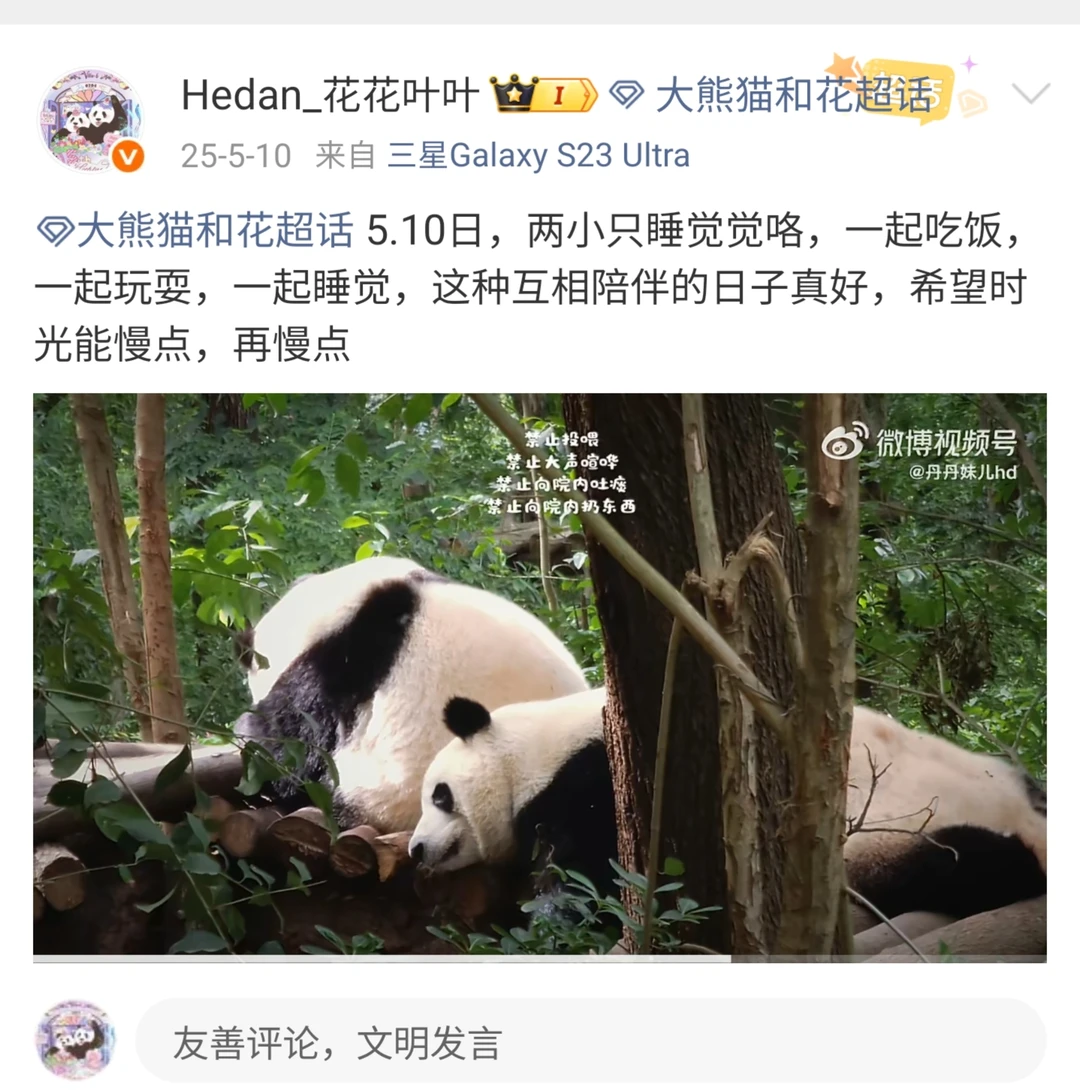 去年今日，姐妹俩木架上一起睡觉觉