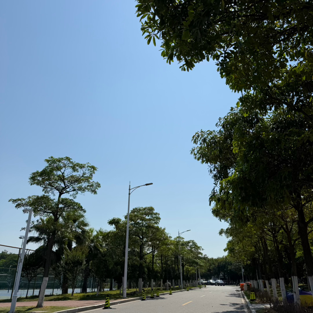 和仇人有仇的可以推荐他来厦门旅游 