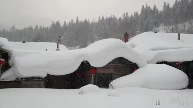 晚来天欲雪
能饮一杯无
一场大雪，在昨晚如约而至…