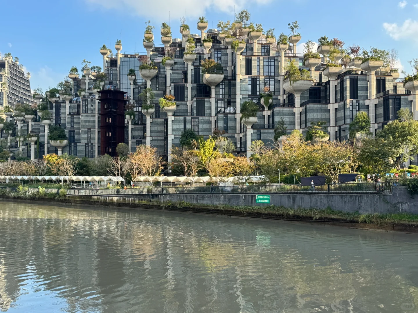 这里是上海市区，不是玛雅遗址