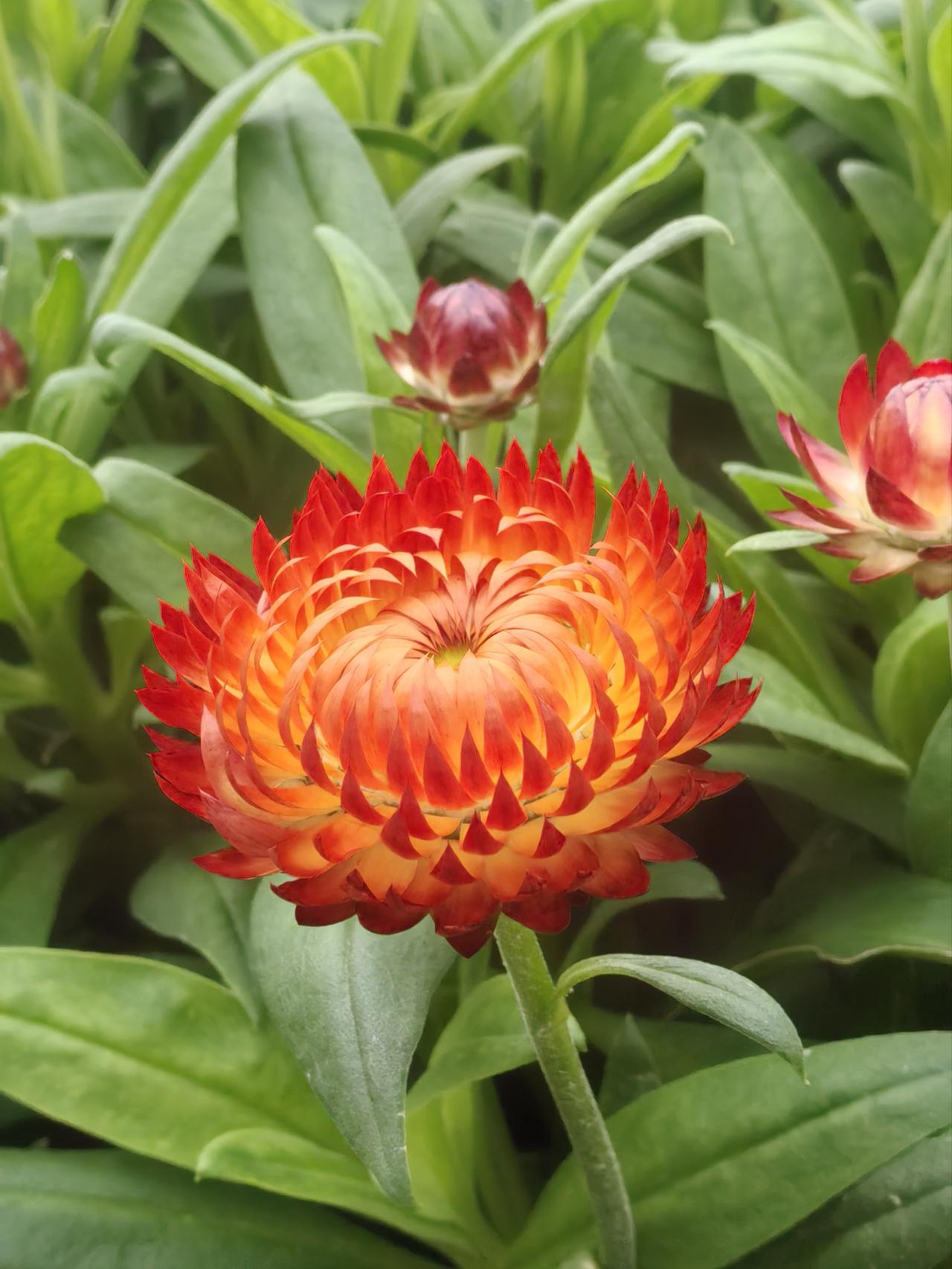 动火作业六严禁：
严禁无票动火把命玩，
严禁未清理周围易燃，
严禁盲板未堵就开干