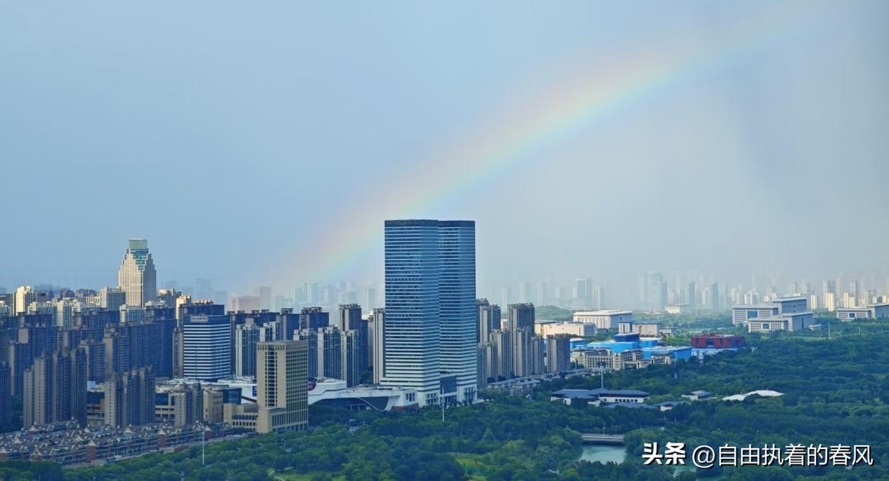 一日刷手机时，听到抖音版的《早起当牛马》，不禁被其歌词吸引。
我他妈早起就当牛马