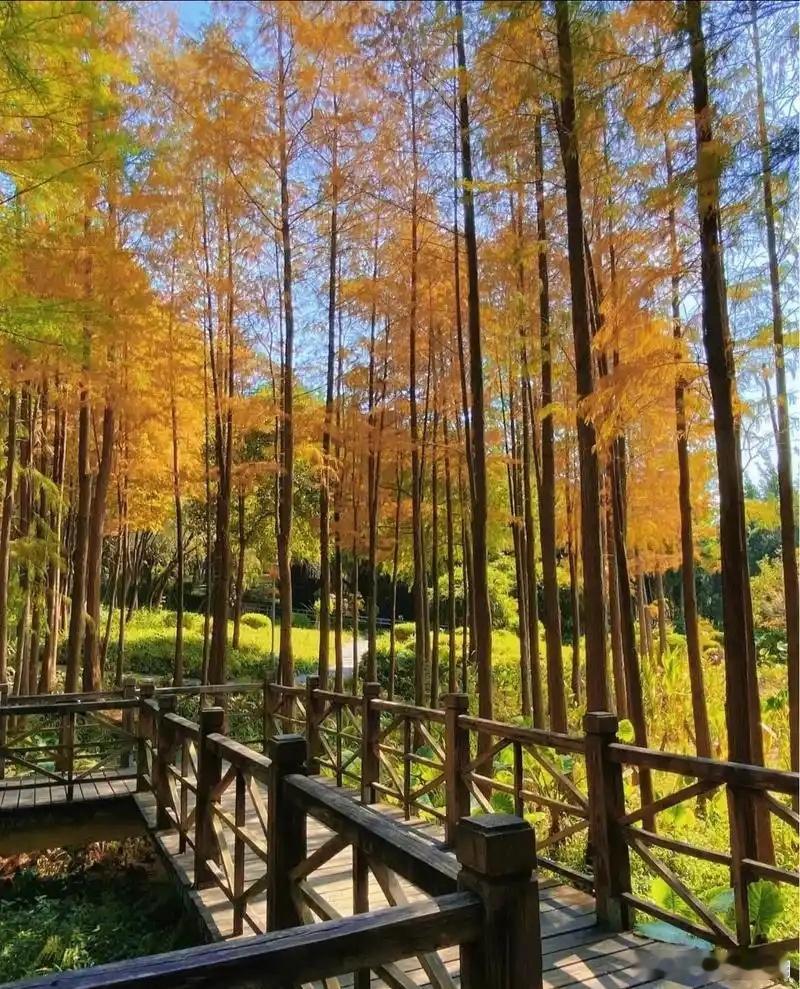 心里话          人生就是一条路，而我们就是路上的风景。     