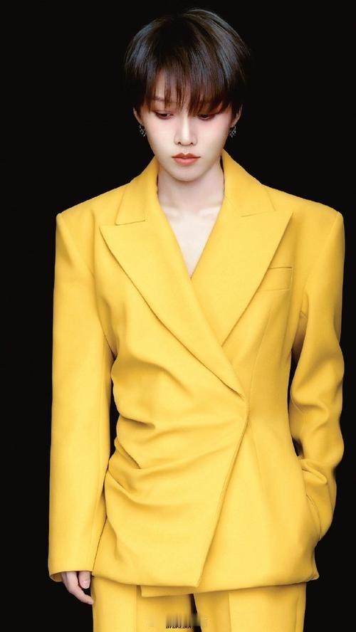 2024最美的夜跨年晚会  2024跨年演唱会你希望刘宪华在哪里：湖南卫视、江苏