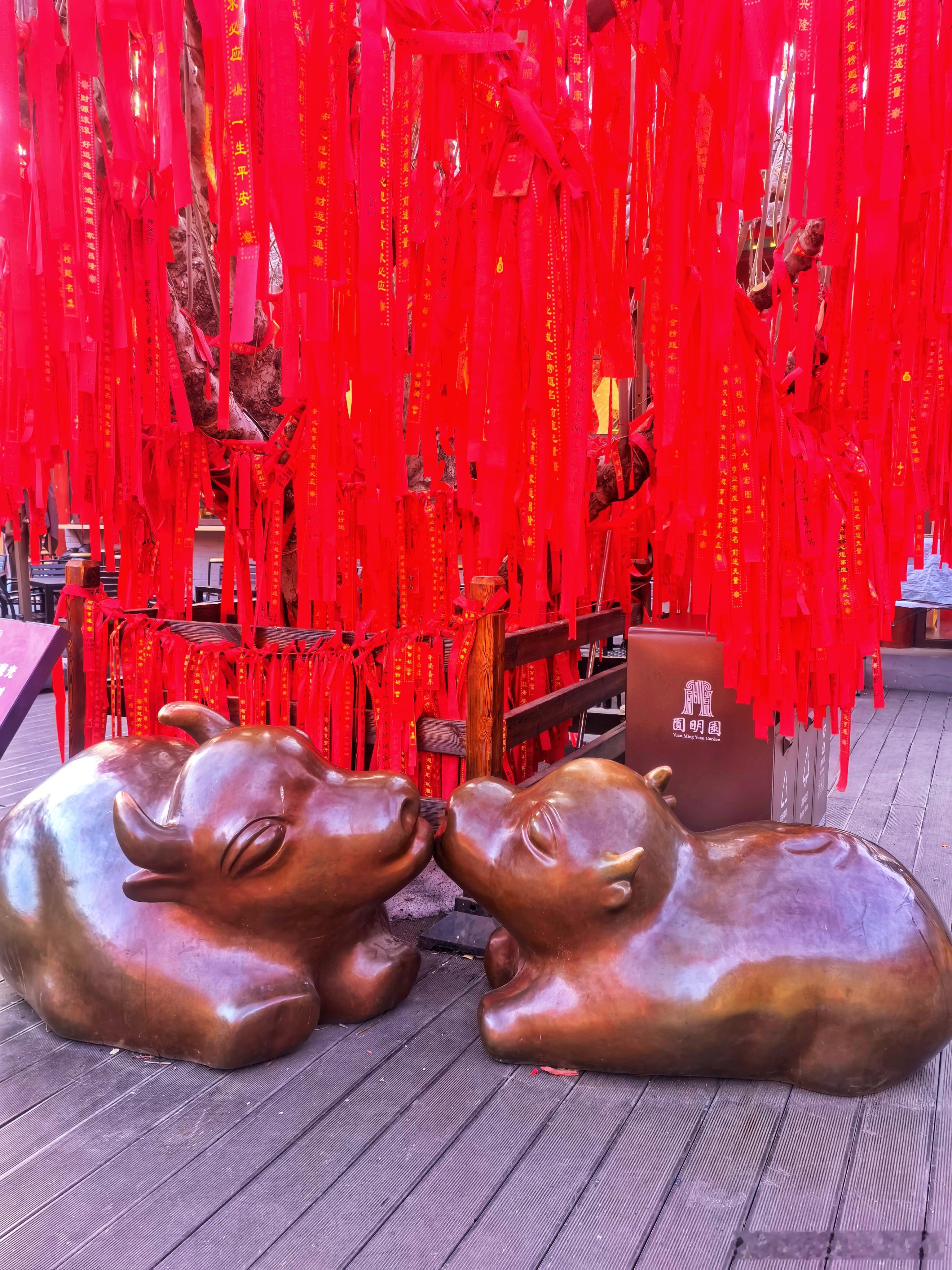 圆明园遗址公园年味儿浓2026.2.13摄影