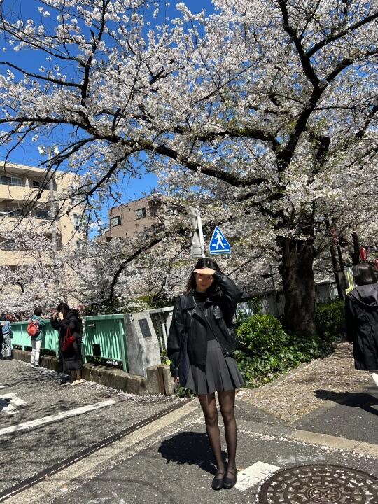 4.4 东京樱花实况🌸🌸｜神田川诚不我欺
