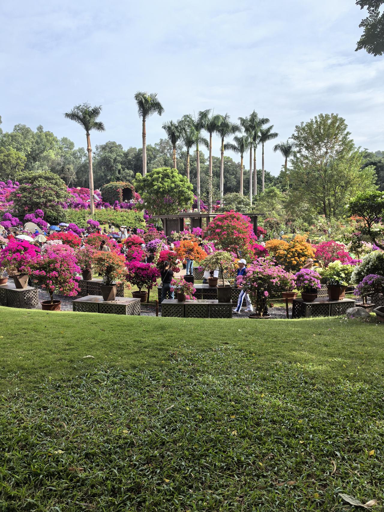 在深圳快十年，有两件事觉得很奇怪。
       一是在深圳听到有人说他是老深圳