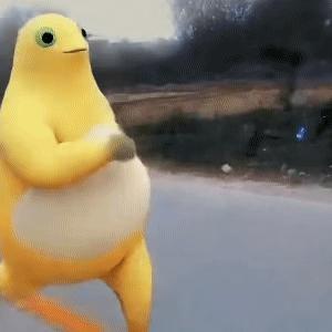 分享图片 