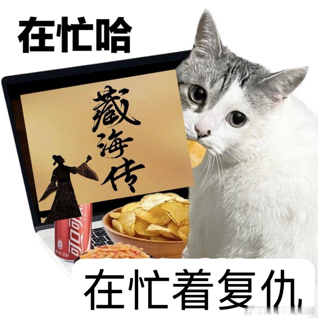藏海传全面入侵我全家这个藏海传实在是太好看了，属于是全面入侵一家的程度了！老少皆