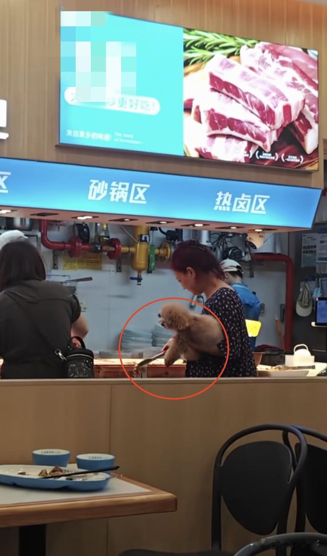 近日一网友拍到一女子抱着宠物狗在餐厅的热卤区打菜，觉得这样非常的不卫生，视频发出