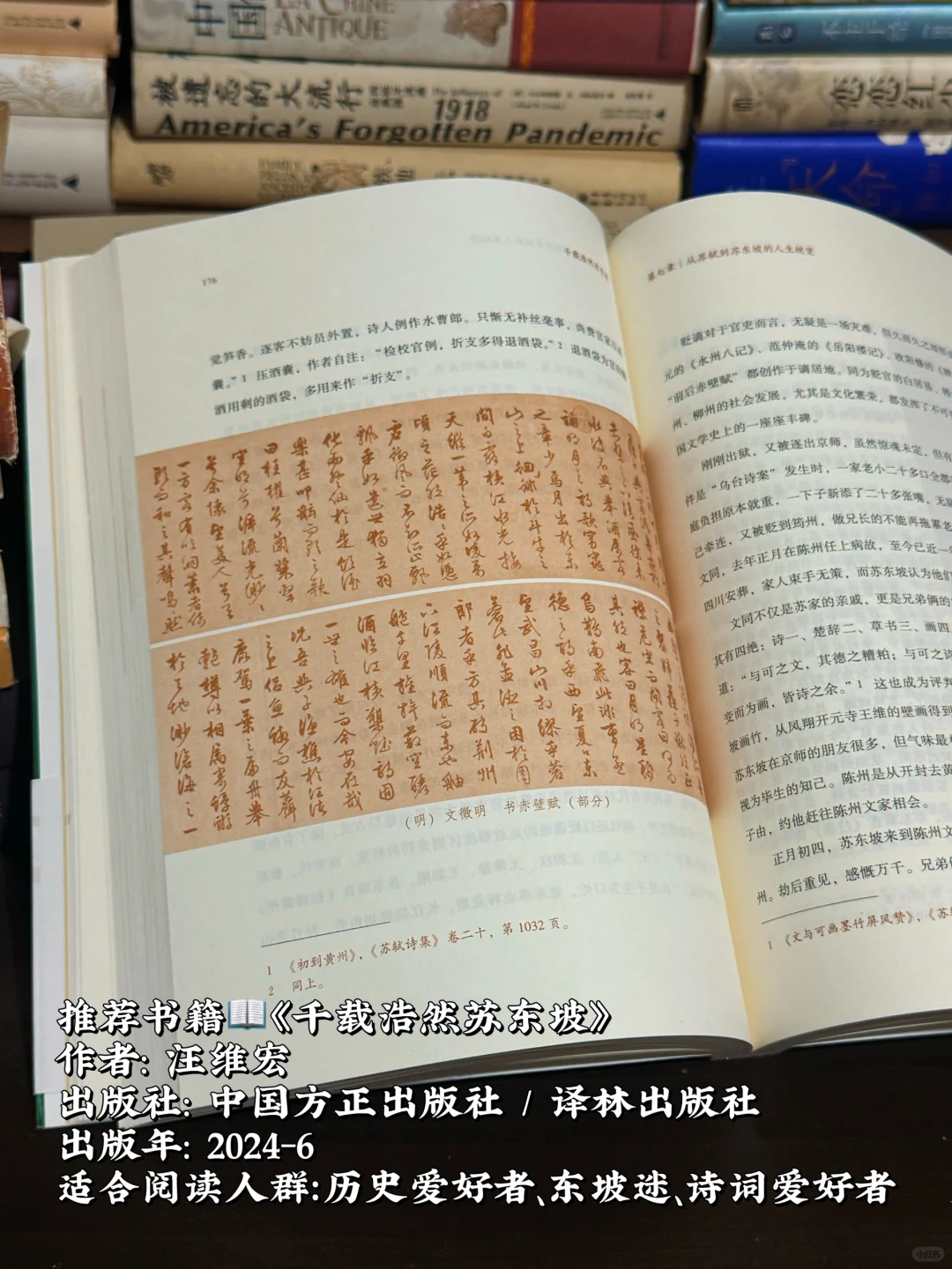 🌸春日书单｜用这本书读懂苏东坡的仕途路🌟