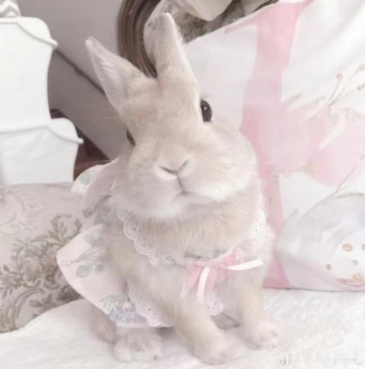 *✩₊🎵•*¨*•.¸¸♪✧♫•*¨*•.¸¸♪*✩₊🎵•*¨*•.¸¸♪✧