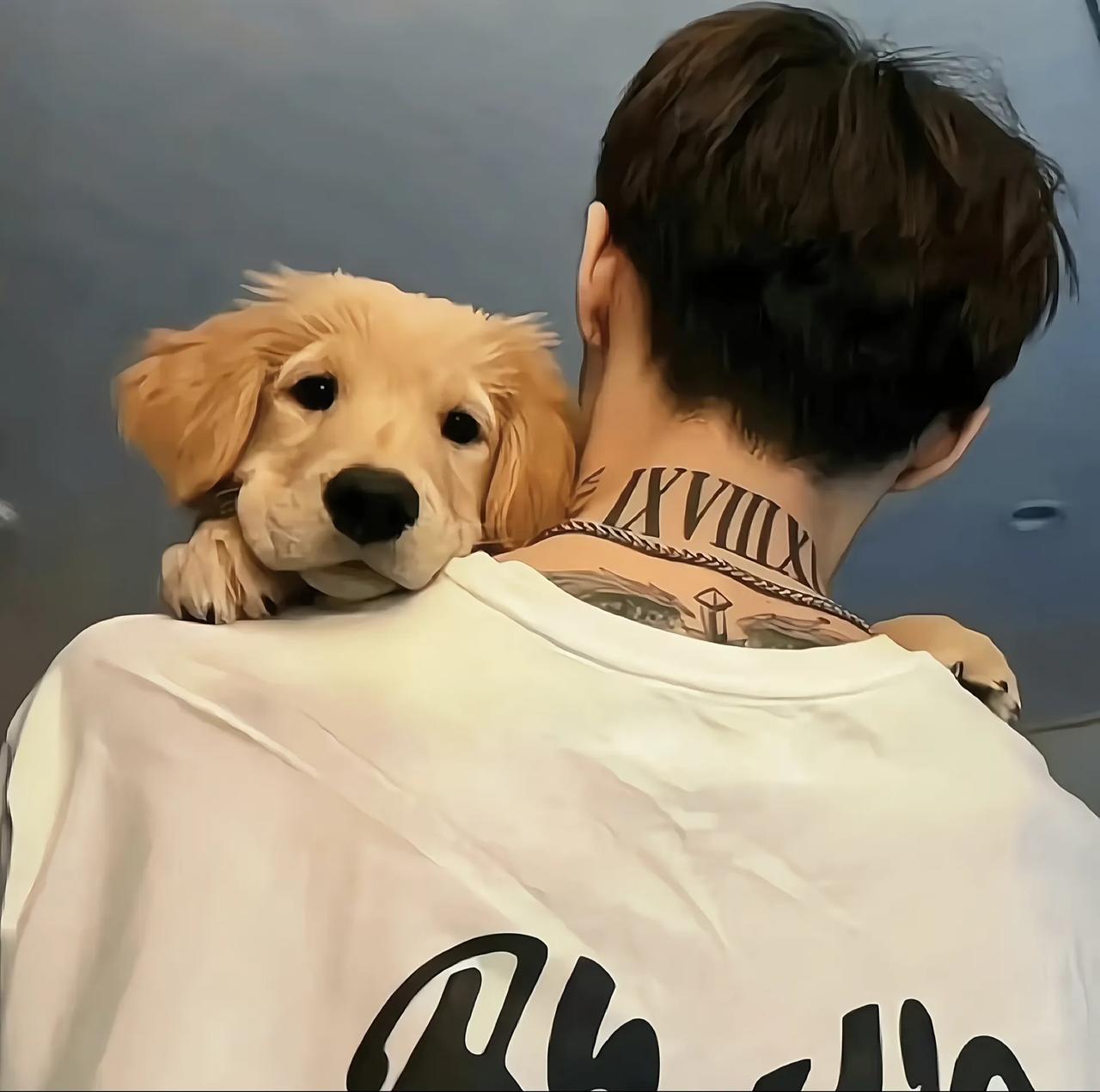 散户炒股核心：三分技术，七分心态📖

散户炒股的核心可概括为：知识学习、策略执