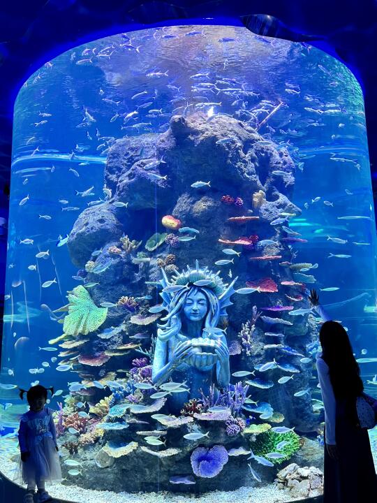 人生建议！一定来一次长沙湘江欢乐海洋公园