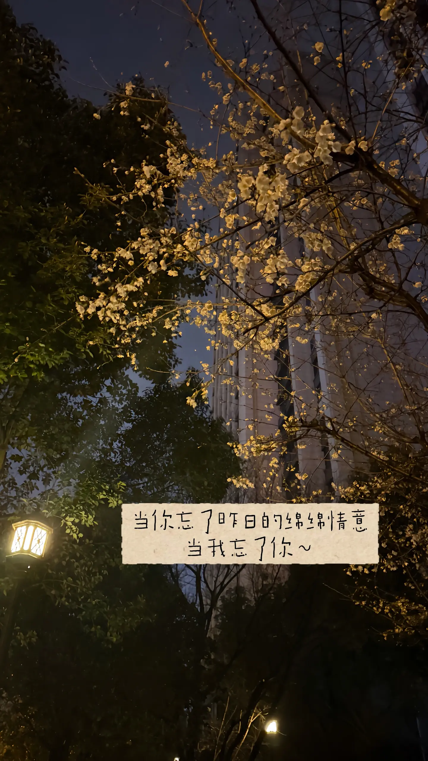 直到分开后才发现，真正刺痛我的是那些幸福的瞬间