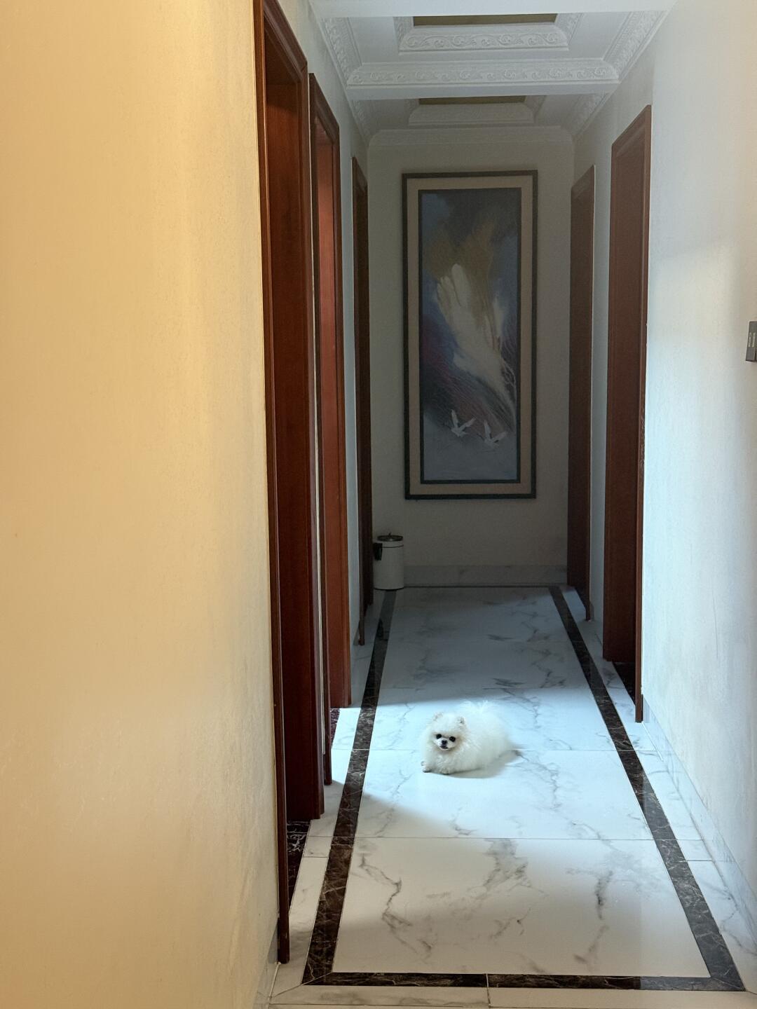 其实我的生活充满了监视