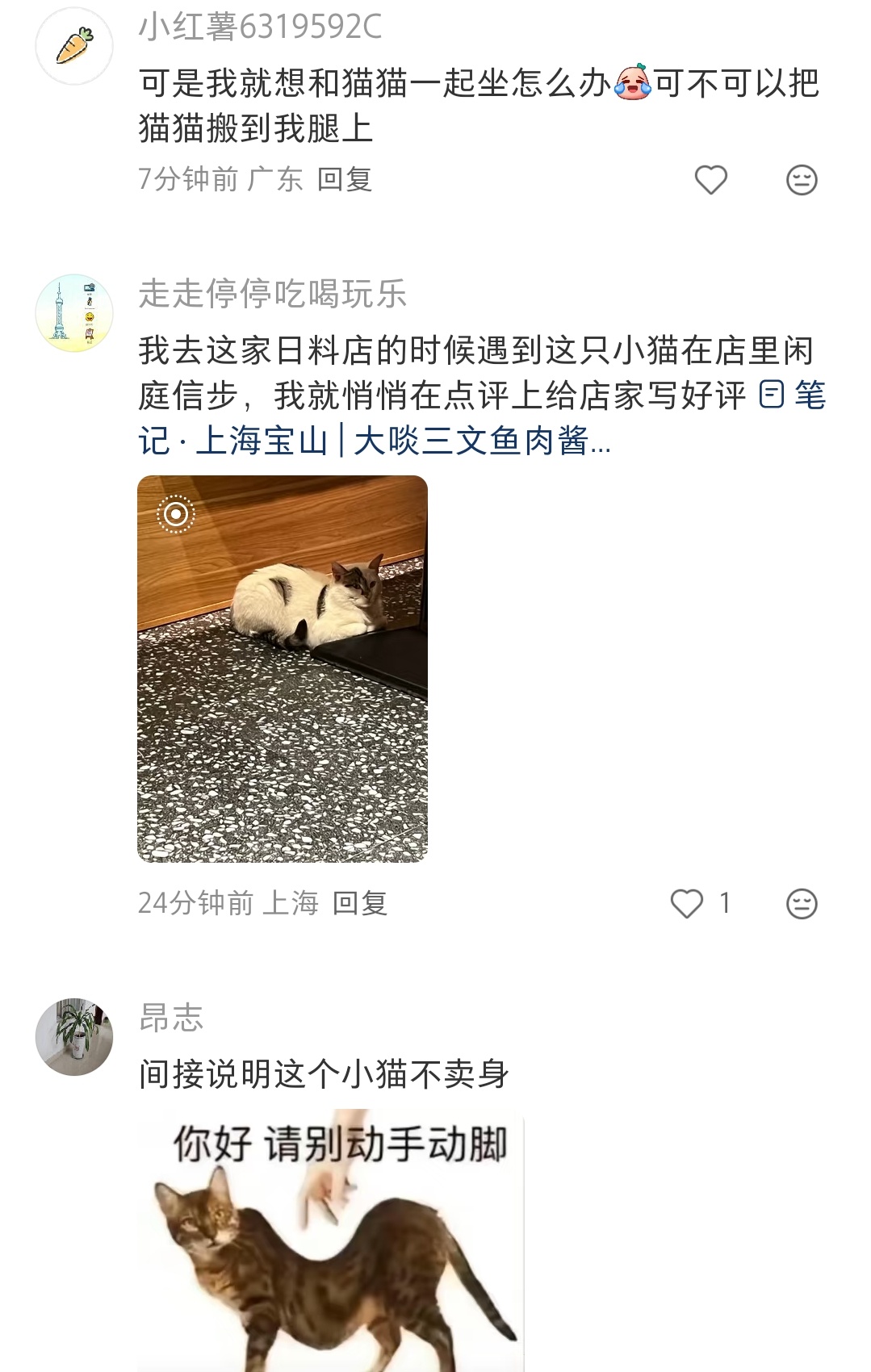 哈哈哈猫老板还有专门的桌子给它躺 