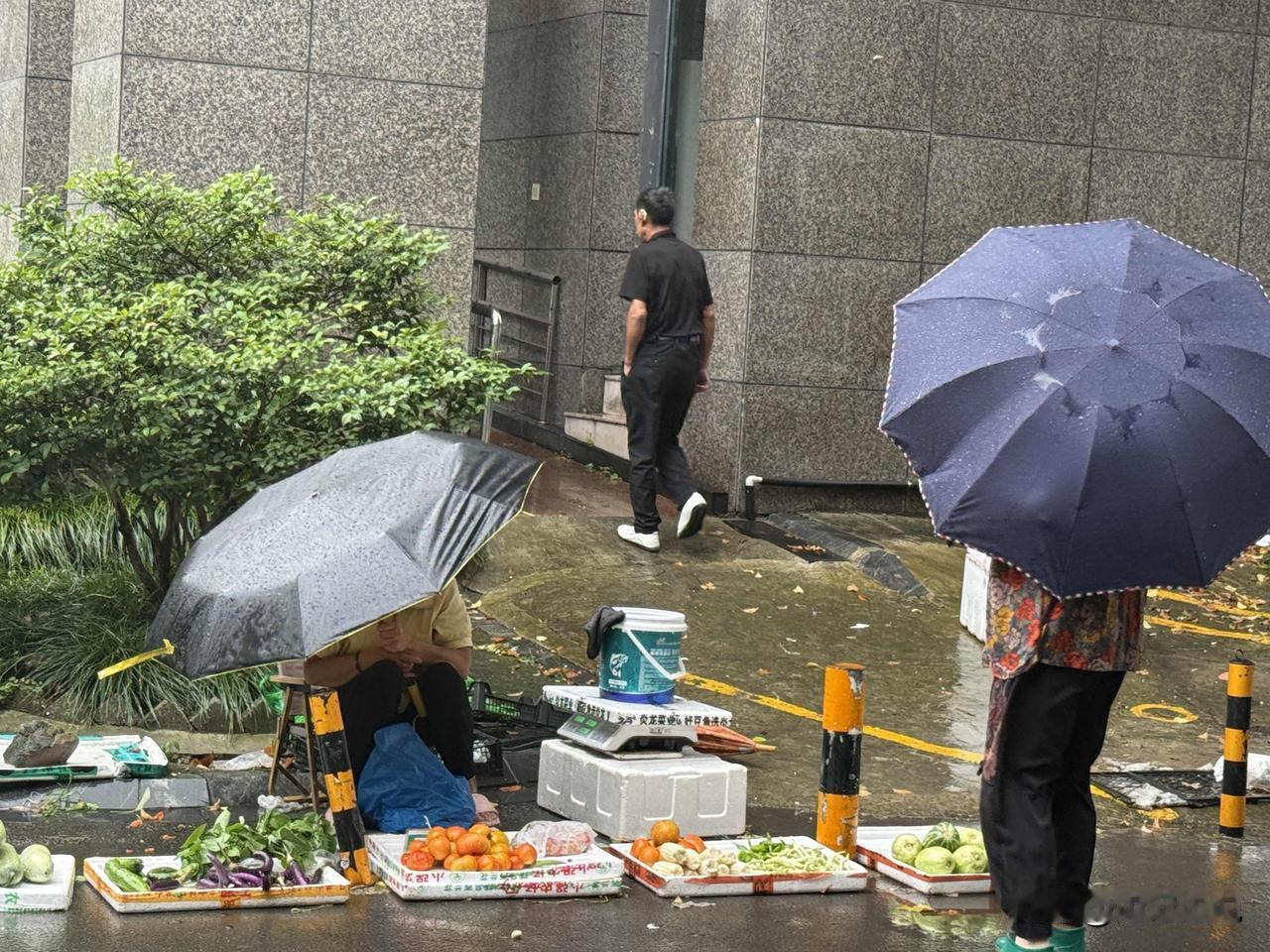 刚刚出去骑车，发现各种设施基本完好。本来以为“巴威”是个“王炸”，没有想到是台风